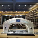 Dazheng Coffee Golden Arch Double Groups Tea Machine Teapresso for Tea Shop