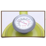 Stainless Steel Drip Kettle With Thermometer