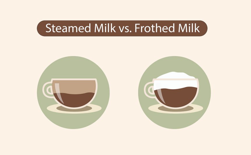 Steamed Milk Vs Frothed Milk DazhengCoffee