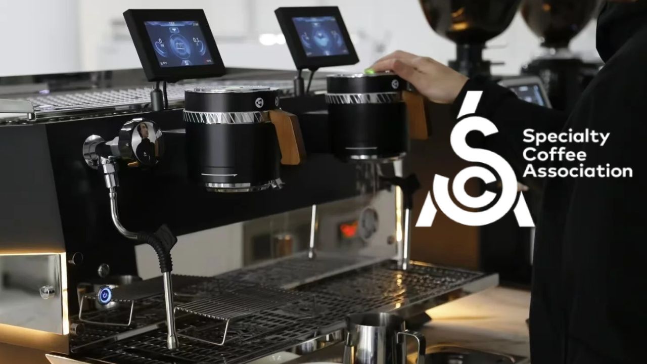 dazheng coffee group in china commercial coffee machine factory